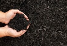 Qué es el abono orgánico y beneficios aporta